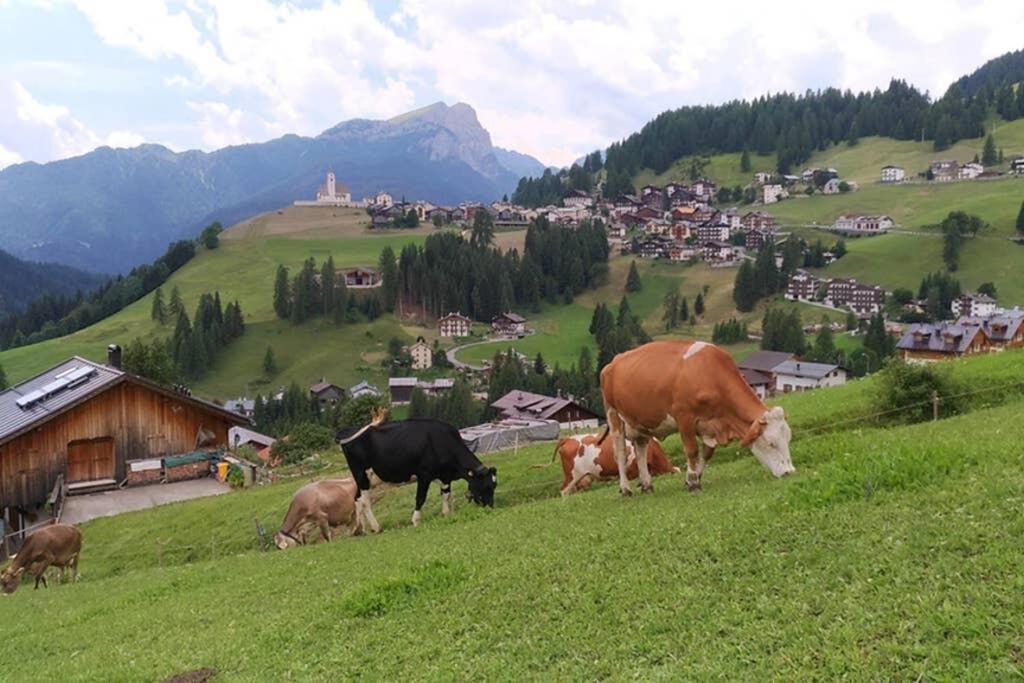 App. Monte Pore - Agriturismo La Majon Colle Santa Lucia Eksteriør bilde